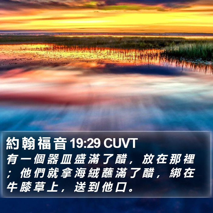 約 翰 福 音 19:29 CUVT Bible Study