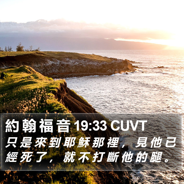 約 翰 福 音 19:33 CUVT Bible Study