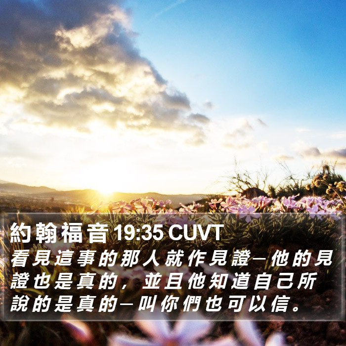 約 翰 福 音 19:35 CUVT Bible Study