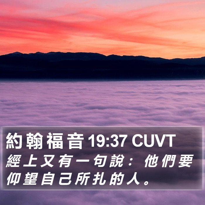 約 翰 福 音 19:37 CUVT Bible Study