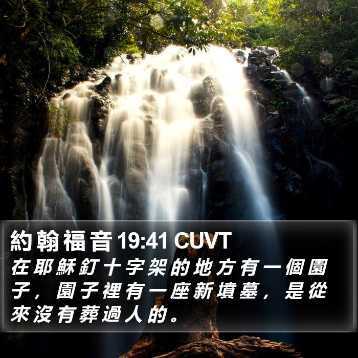 約 翰 福 音 19:41 CUVT Bible Study