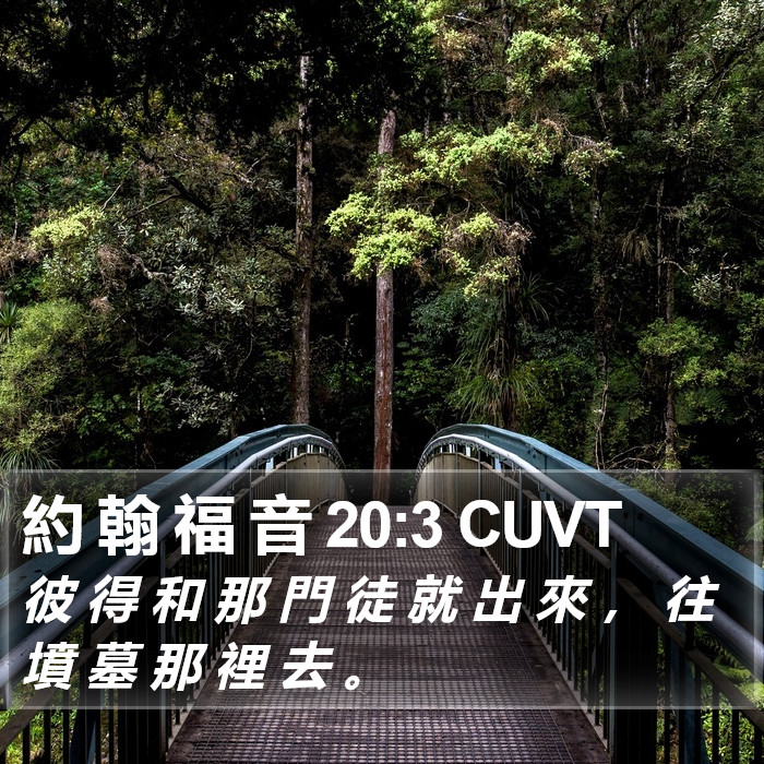 約 翰 福 音 20:3 CUVT Bible Study