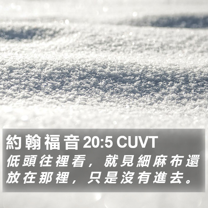 約 翰 福 音 20:5 CUVT Bible Study