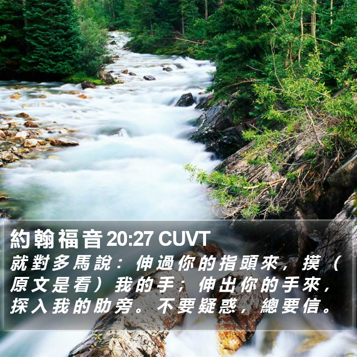 約 翰 福 音 20:27 CUVT Bible Study
