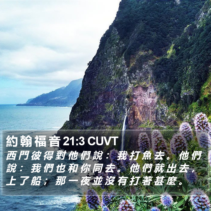 約 翰 福 音 21:3 CUVT Bible Study