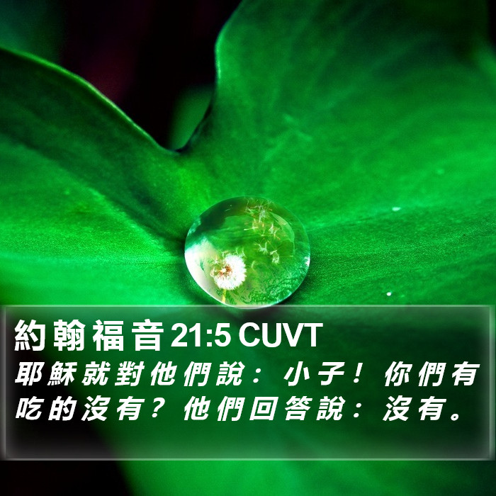 約 翰 福 音 21:5 CUVT Bible Study