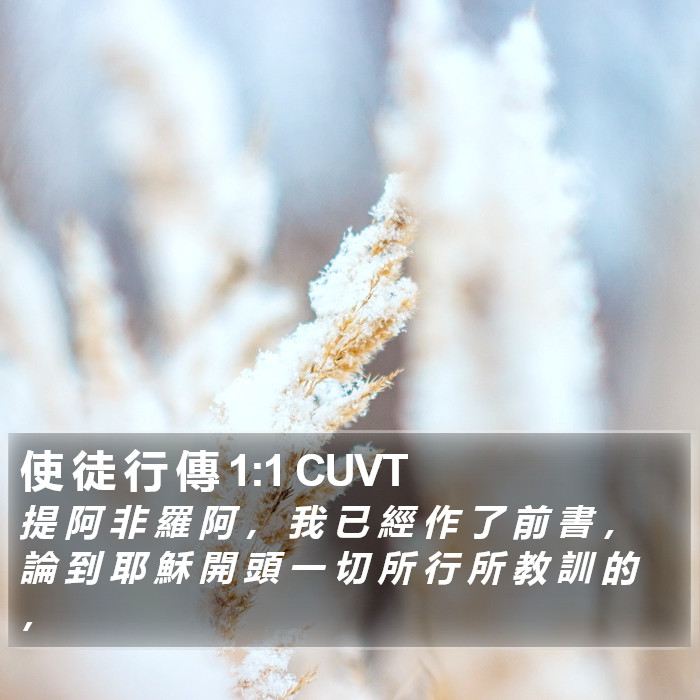 使 徒 行 傳 1:1 CUVT Bible Study