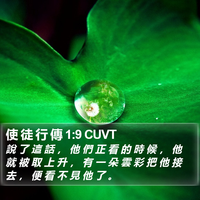 使 徒 行 傳 1:9 CUVT Bible Study