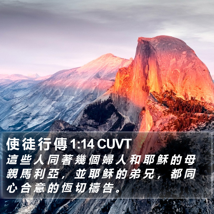 使 徒 行 傳 1:14 CUVT Bible Study