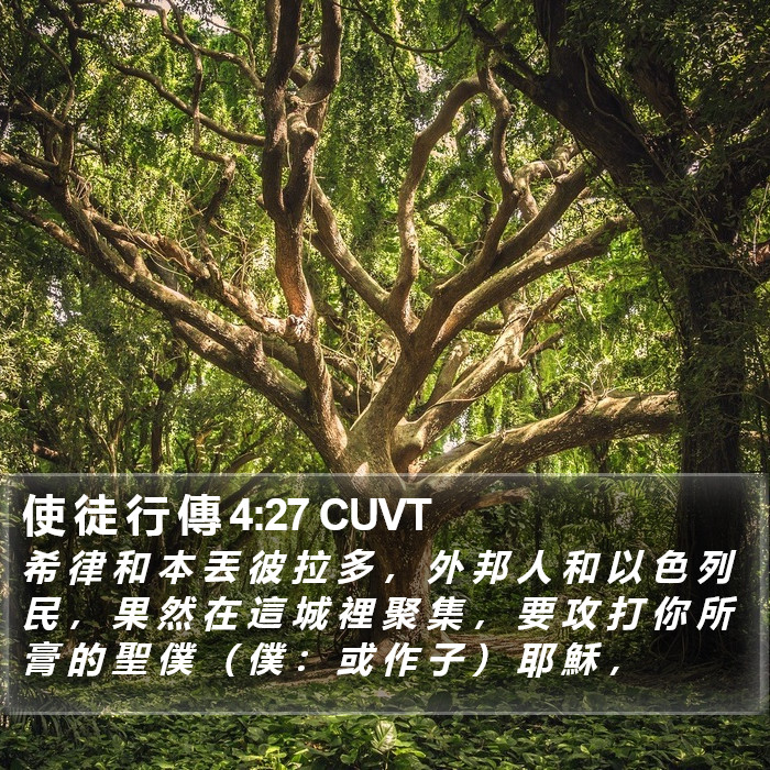 使 徒 行 傳 4:27 CUVT Bible Study