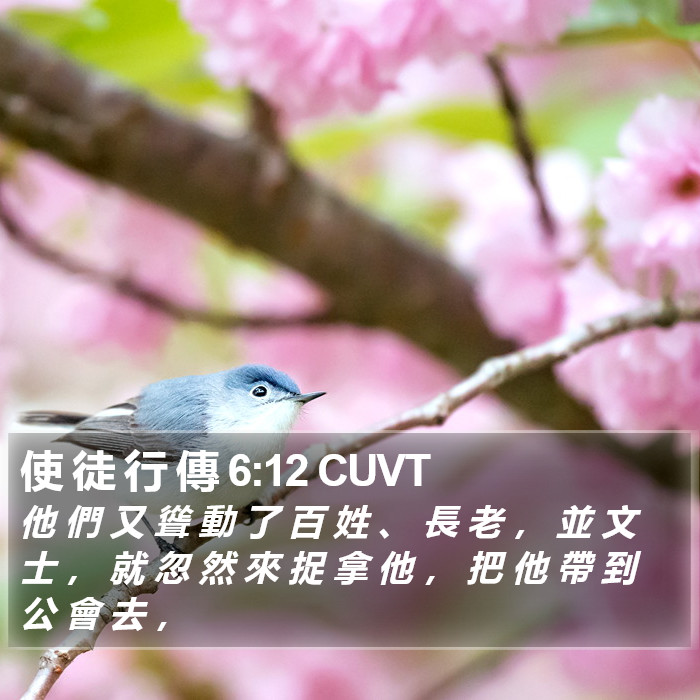 使 徒 行 傳 6:12 CUVT Bible Study