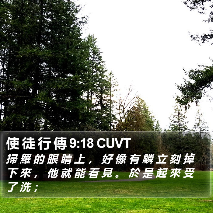 使 徒 行 傳 9:18 CUVT Bible Study