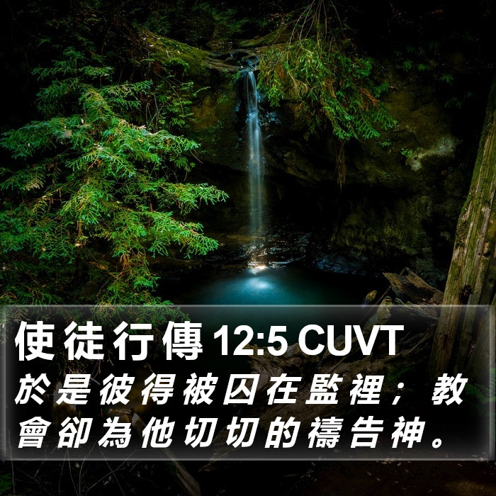 使 徒 行 傳 12:5 CUVT Bible Study
