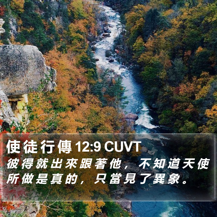 使 徒 行 傳 12:9 CUVT Bible Study