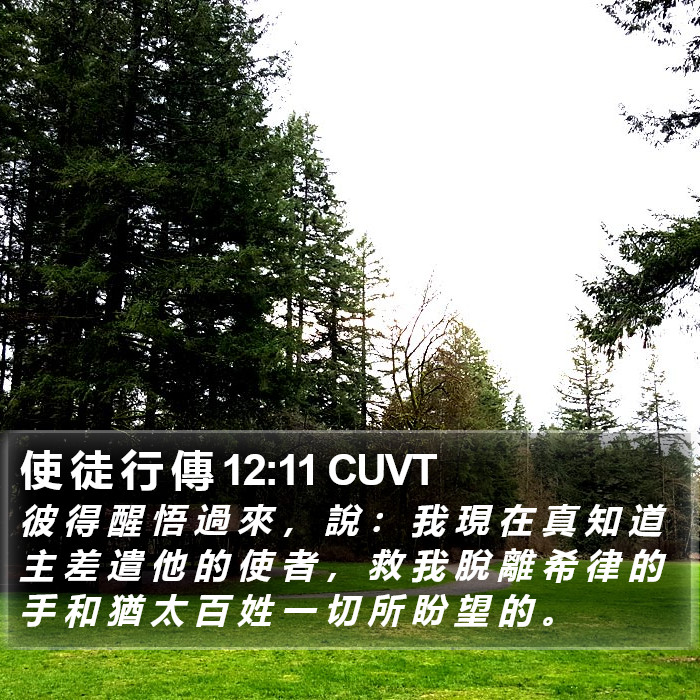 使 徒 行 傳 12:11 CUVT Bible Study