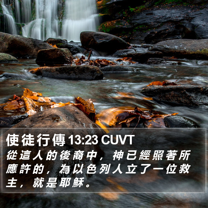 使 徒 行 傳 13:23 CUVT Bible Study
