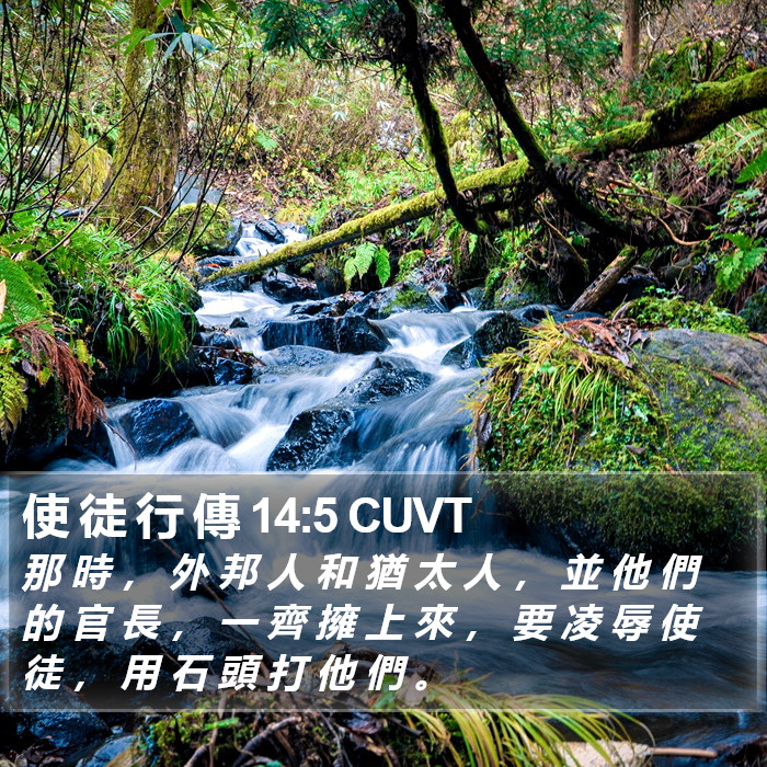 使 徒 行 傳 14:5 CUVT Bible Study