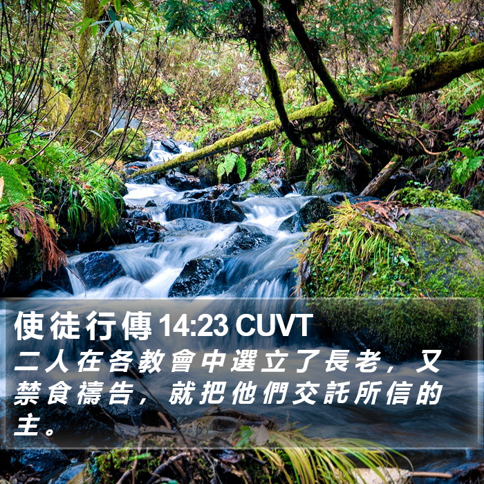 使 徒 行 傳 14:23 CUVT Bible Study