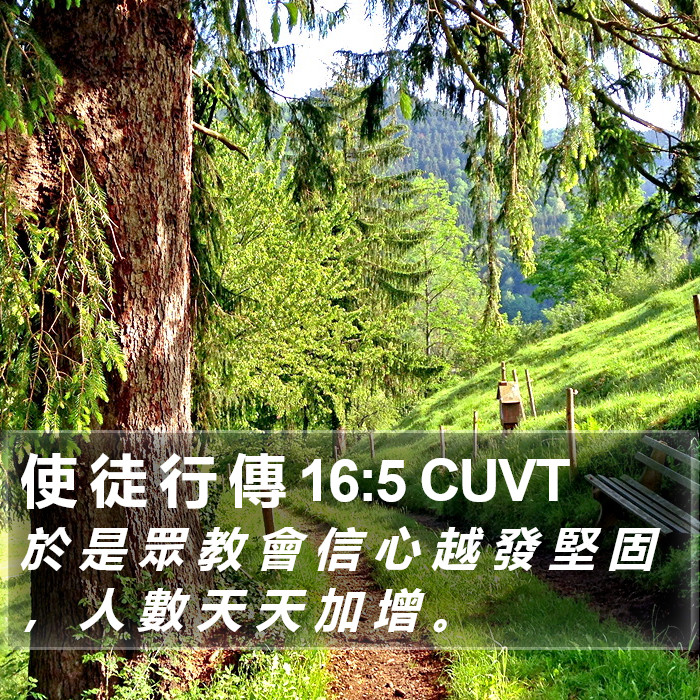 使 徒 行 傳 16:5 CUVT Bible Study