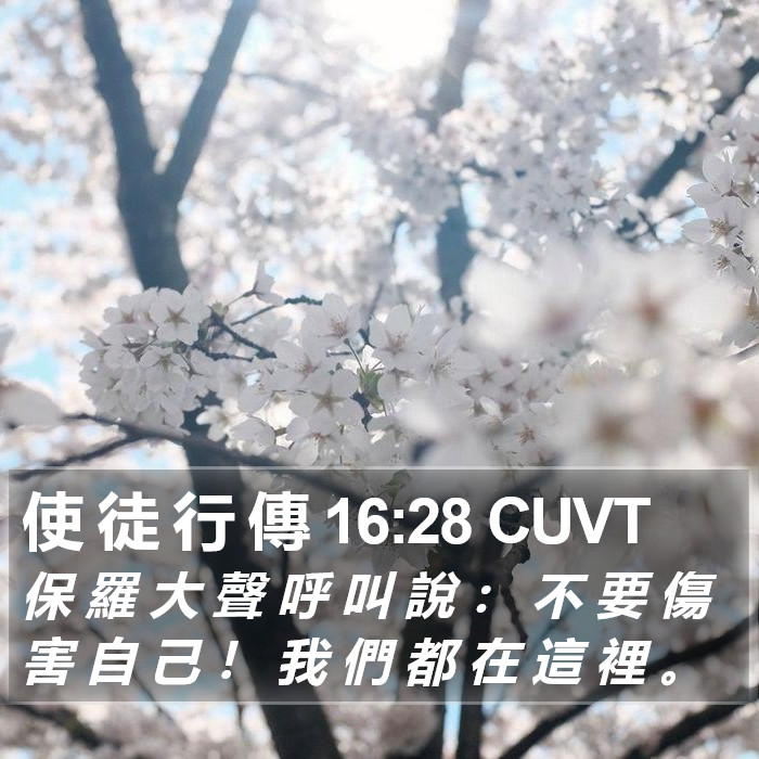 使 徒 行 傳 16:28 CUVT Bible Study