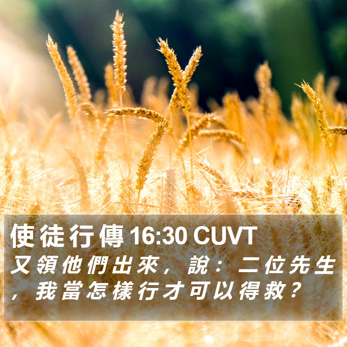 使 徒 行 傳 16:30 CUVT Bible Study