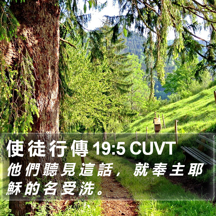 使 徒 行 傳 19:5 CUVT Bible Study