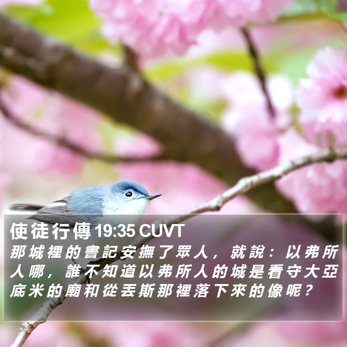 使 徒 行 傳 19:35 CUVT Bible Study