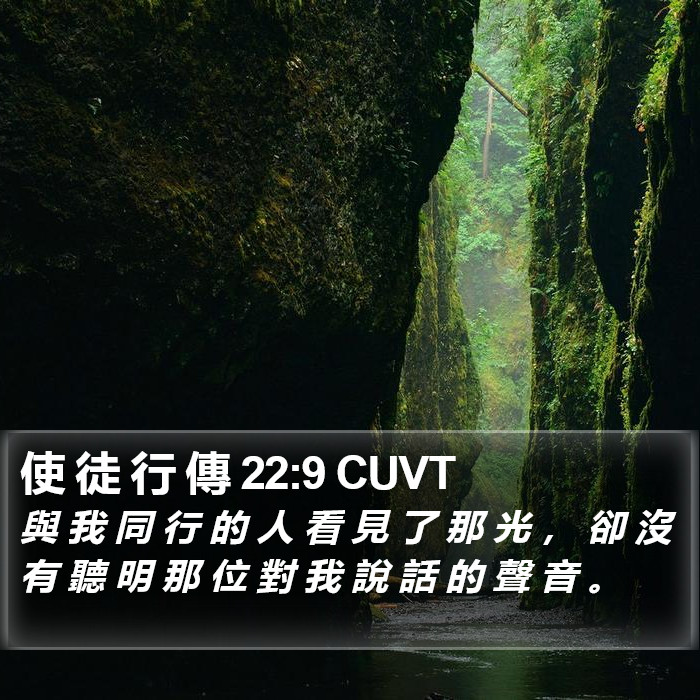 使 徒 行 傳 22:9 CUVT Bible Study