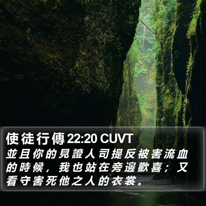 使 徒 行 傳 22:20 CUVT Bible Study
