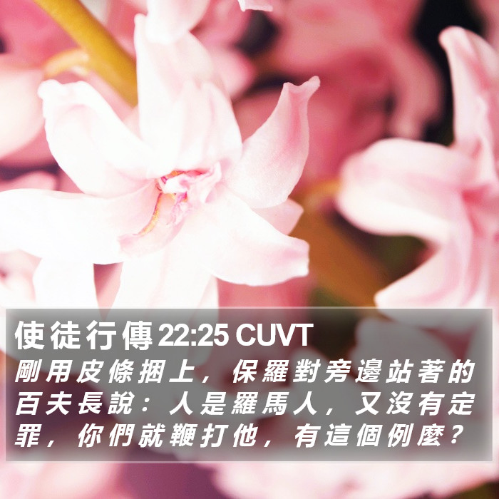 使 徒 行 傳 22:25 CUVT Bible Study