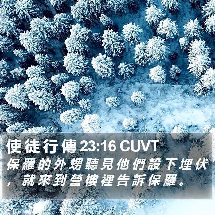 使 徒 行 傳 23:16 CUVT Bible Study