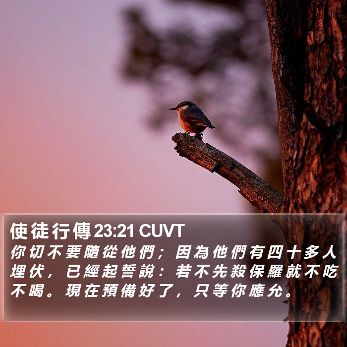 使 徒 行 傳 23:21 CUVT Bible Study