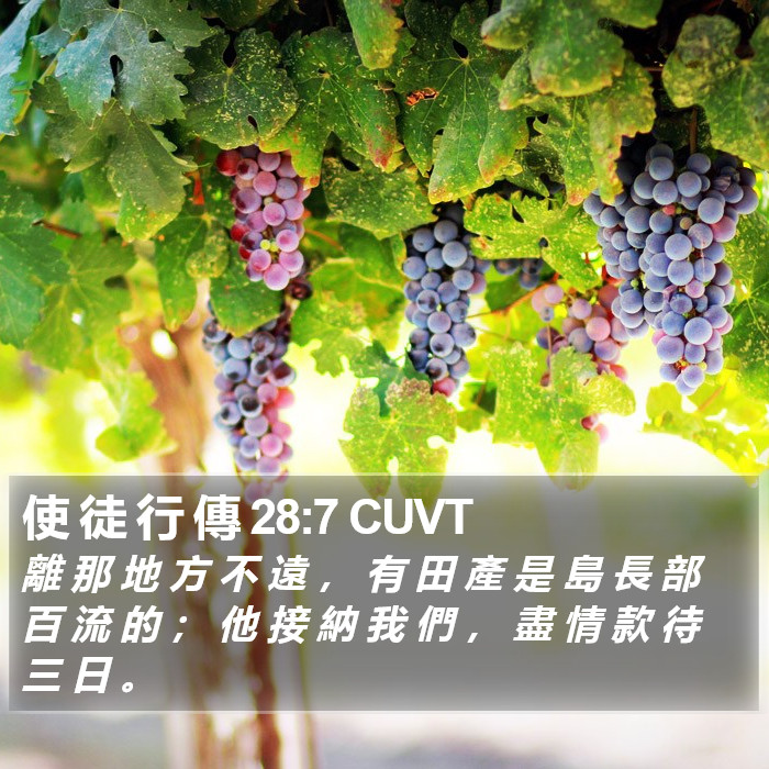 使 徒 行 傳 28:7 CUVT Bible Study