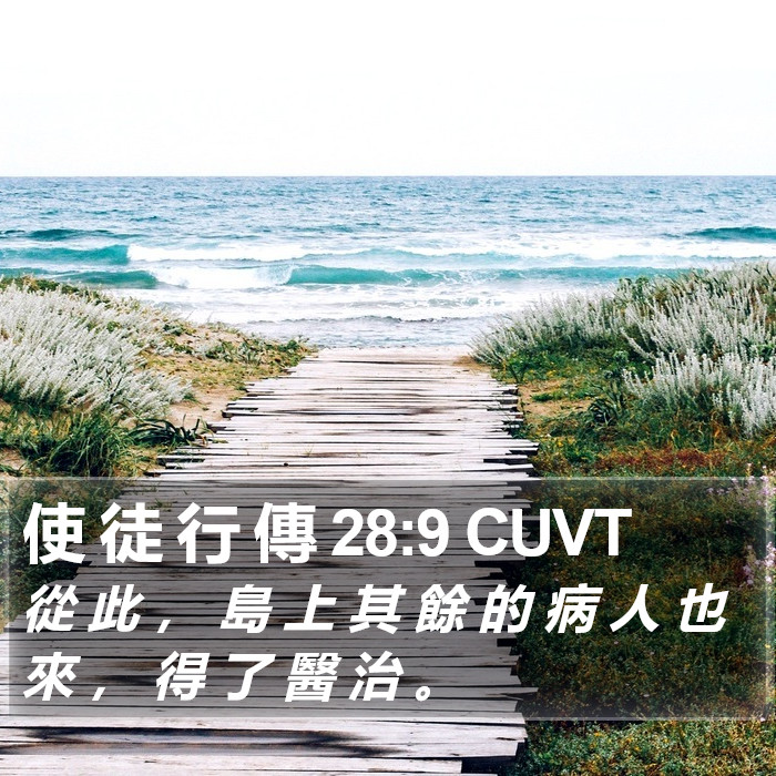 使 徒 行 傳 28:9 CUVT Bible Study