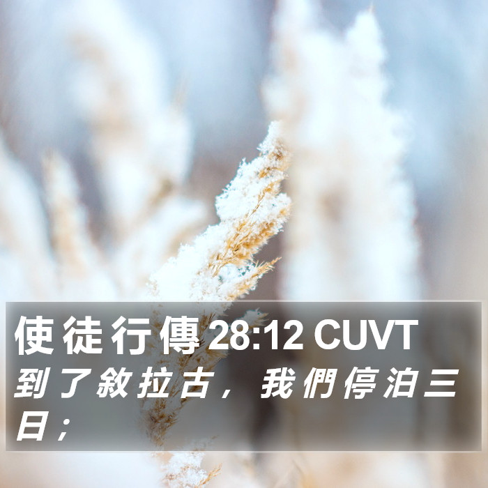 使 徒 行 傳 28:12 CUVT Bible Study
