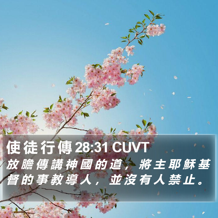 使 徒 行 傳 28:31 CUVT Bible Study