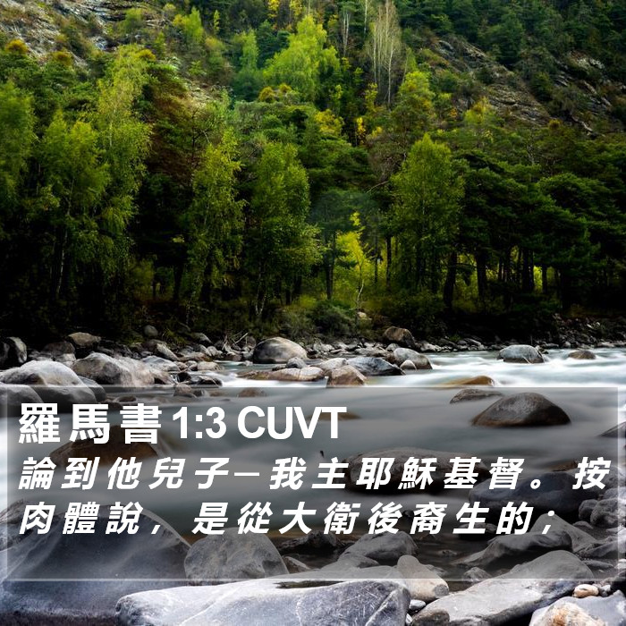 羅 馬 書 1:3 CUVT Bible Study