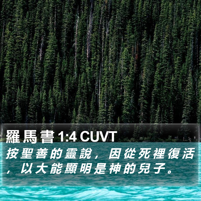 羅 馬 書 1:4 CUVT Bible Study