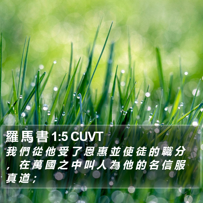 羅 馬 書 1:5 CUVT Bible Study