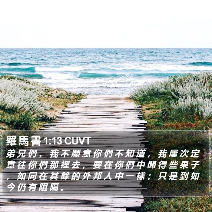 羅 馬 書 1:13 CUVT Bible Study