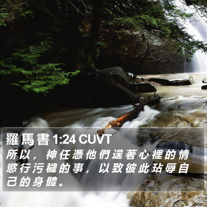 羅 馬 書 1:24 CUVT Bible Study