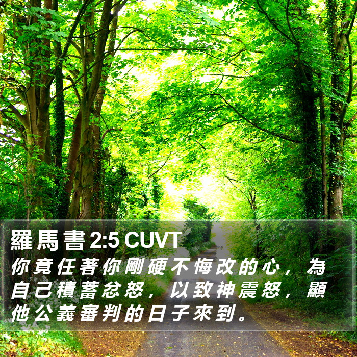 羅 馬 書 2:5 CUVT Bible Study