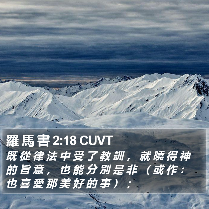 羅 馬 書 2:18 CUVT Bible Study