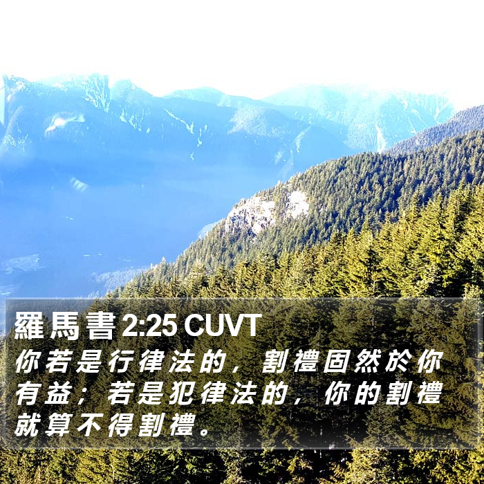 羅 馬 書 2:25 CUVT Bible Study