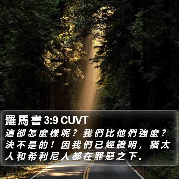 羅 馬 書 3:9 CUVT Bible Study