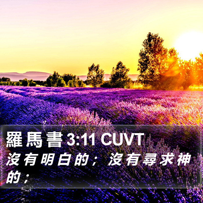 羅 馬 書 3:11 CUVT Bible Study