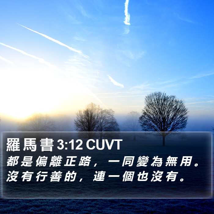 羅 馬 書 3:12 CUVT Bible Study