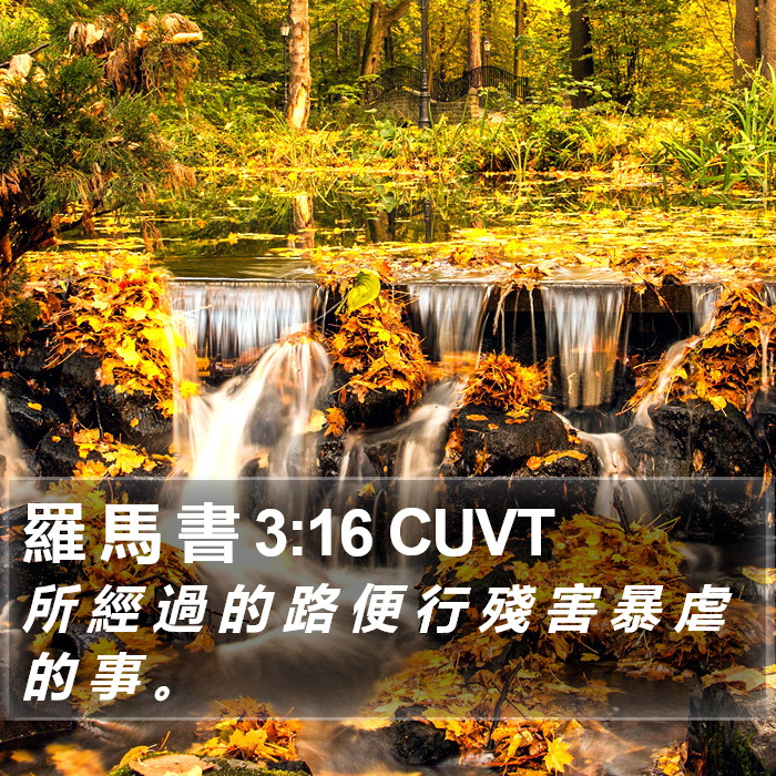 羅 馬 書 3:16 CUVT Bible Study