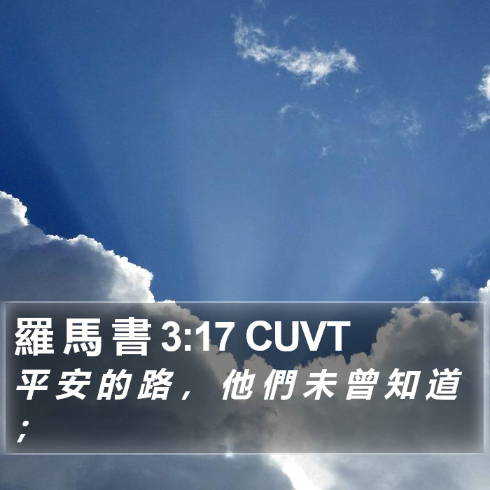 羅 馬 書 3:17 CUVT Bible Study