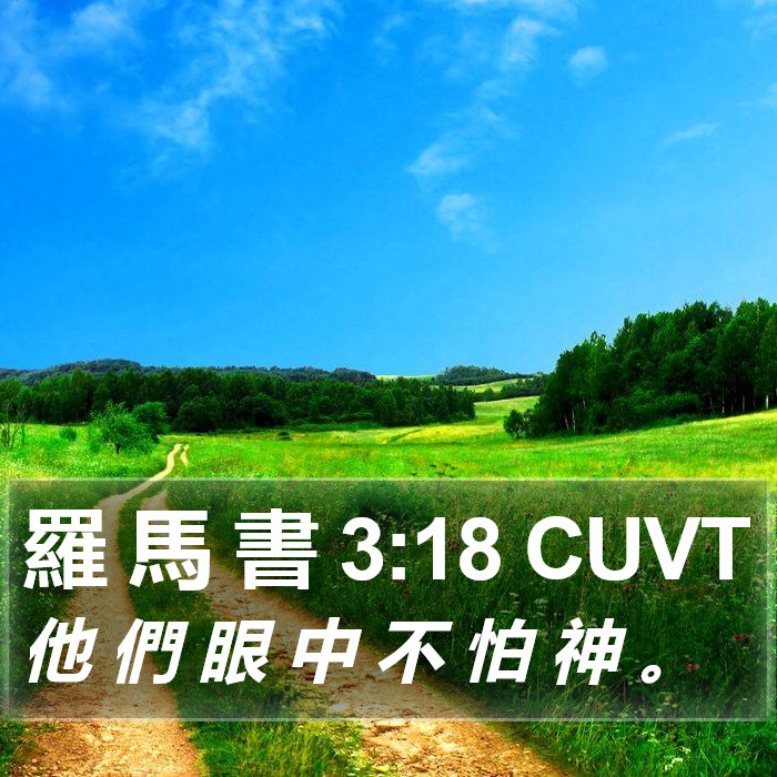 羅 馬 書 3:18 CUVT Bible Study